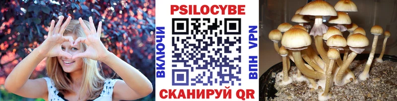 закладка  Моздок  Галлюциногенные грибы ЛСД 