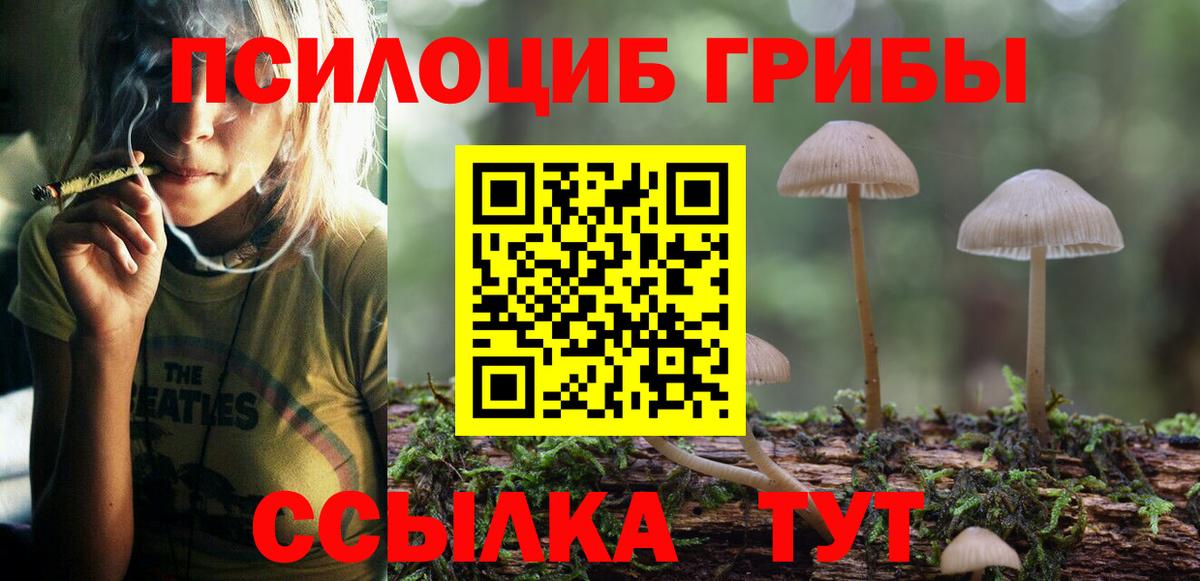 Псилоцибиновые грибы прущие грибы Моздок