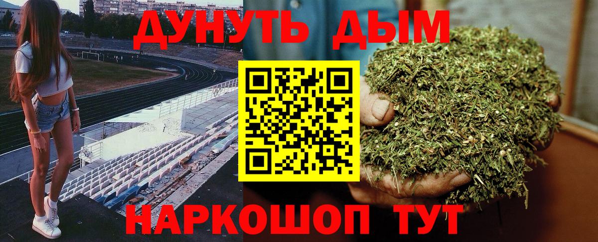 Моздок  Конопля план  Бошки Шишки Ganja  Вход с VPN  Марихуана сатива  Шишки марихуана конопля 